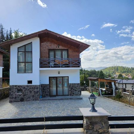 Villa In Mountains Bakuriani Exterior foto