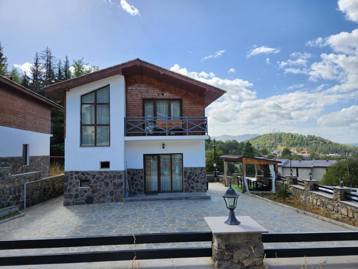 Villa In Mountains Bakuriani Exterior foto