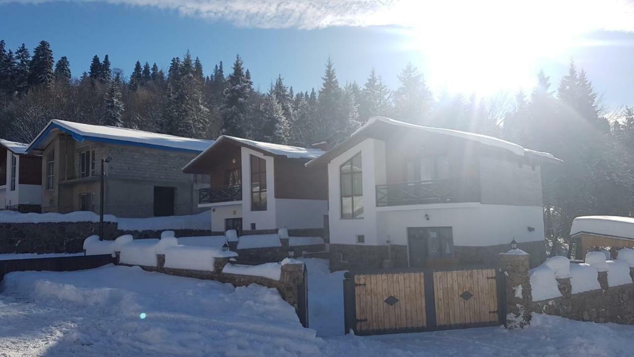 Villa In Mountains Bakuriani Exterior foto